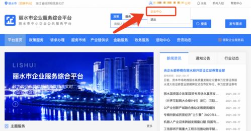 麗水企業(yè) 2021年中小微企業(yè)服務(wù)券申領(lǐng)正式啟動(dòng)，助力信息技術(shù)咨詢服務(wù)發(fā)展